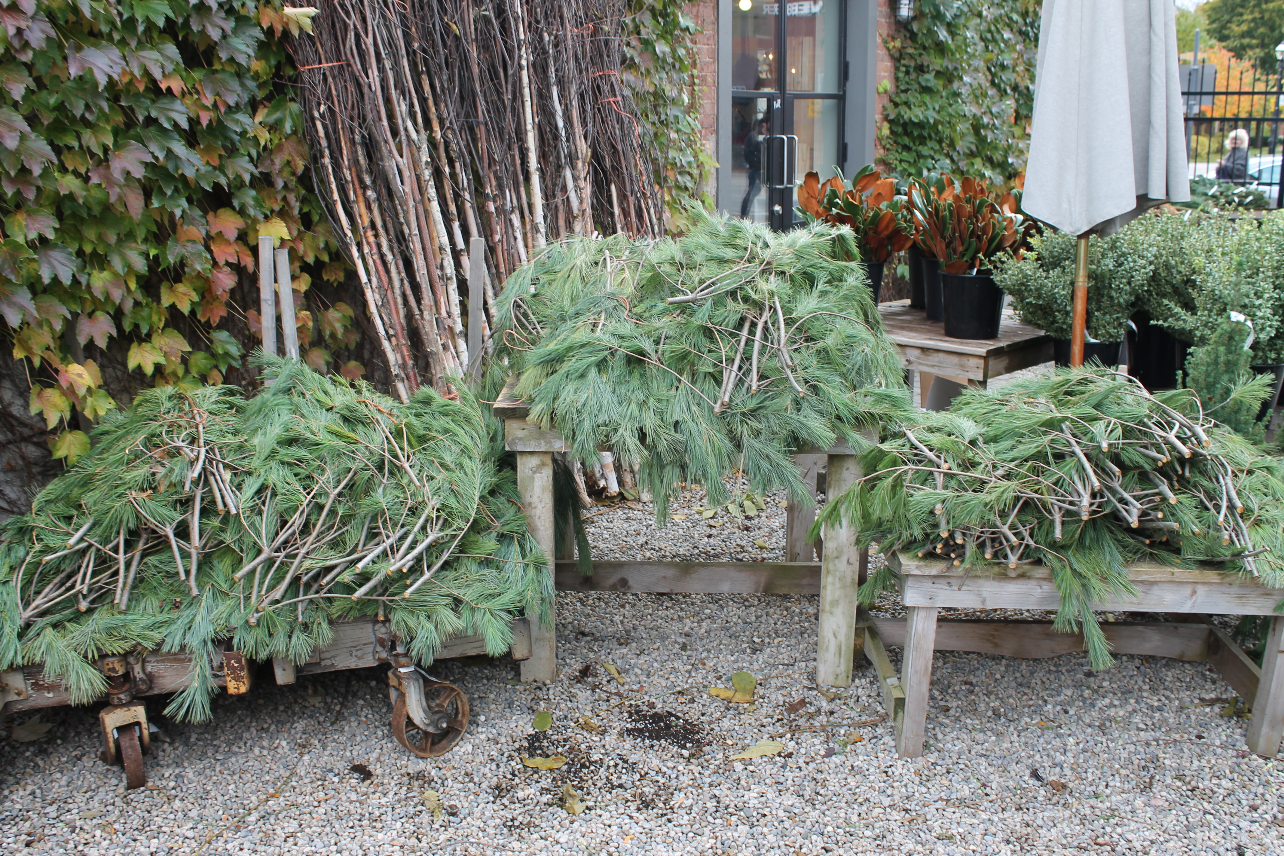 Centro Garden - floral store in Burlington